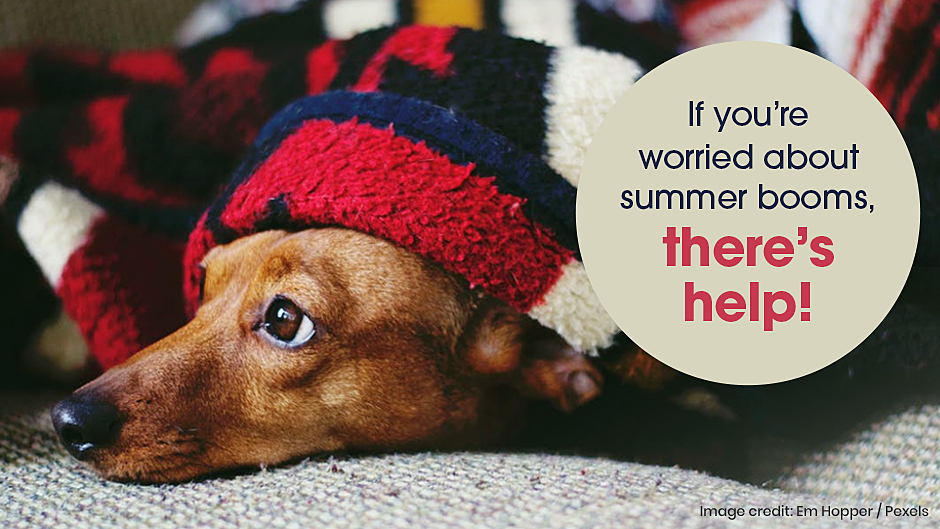 Help Pets with Summer Booms